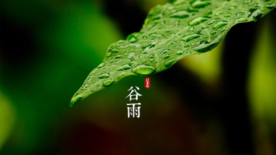 谷雨|喝一杯純凈好水，沐一場(chǎng)人間春色